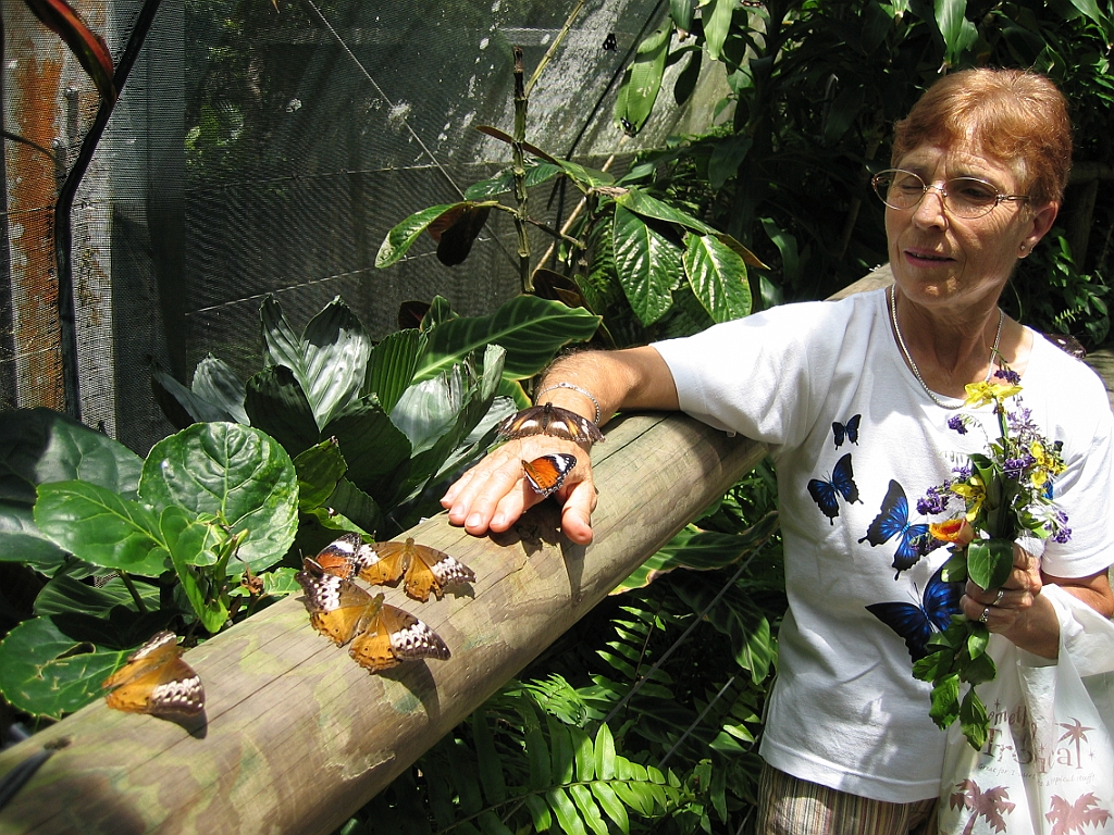 020 Butterfly Sanctuary.jpg